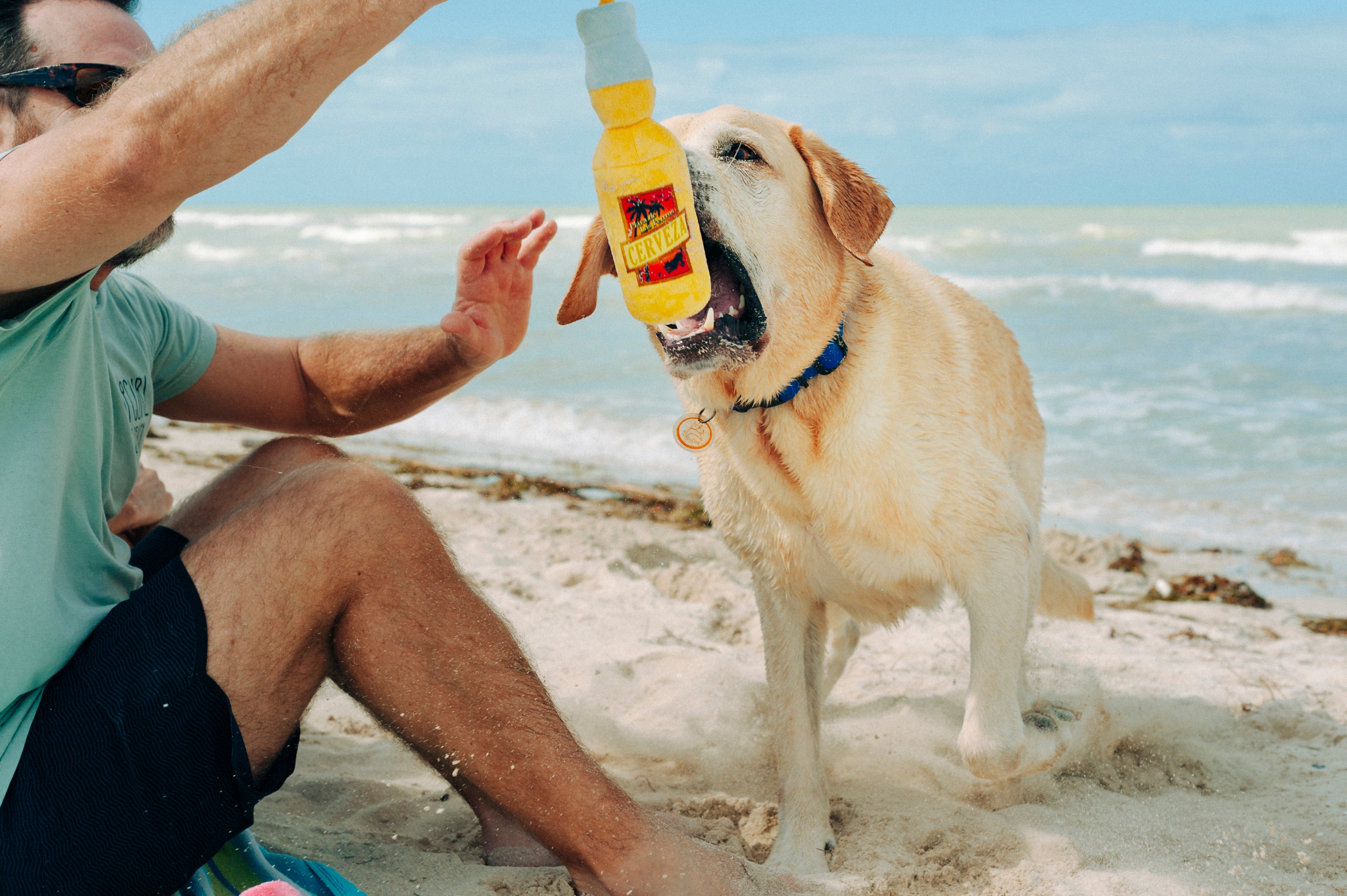 La Cerveza Tropical - Juguete de Peluche para Perros Tropical Paradise™ | Pet P.L.A.Y.