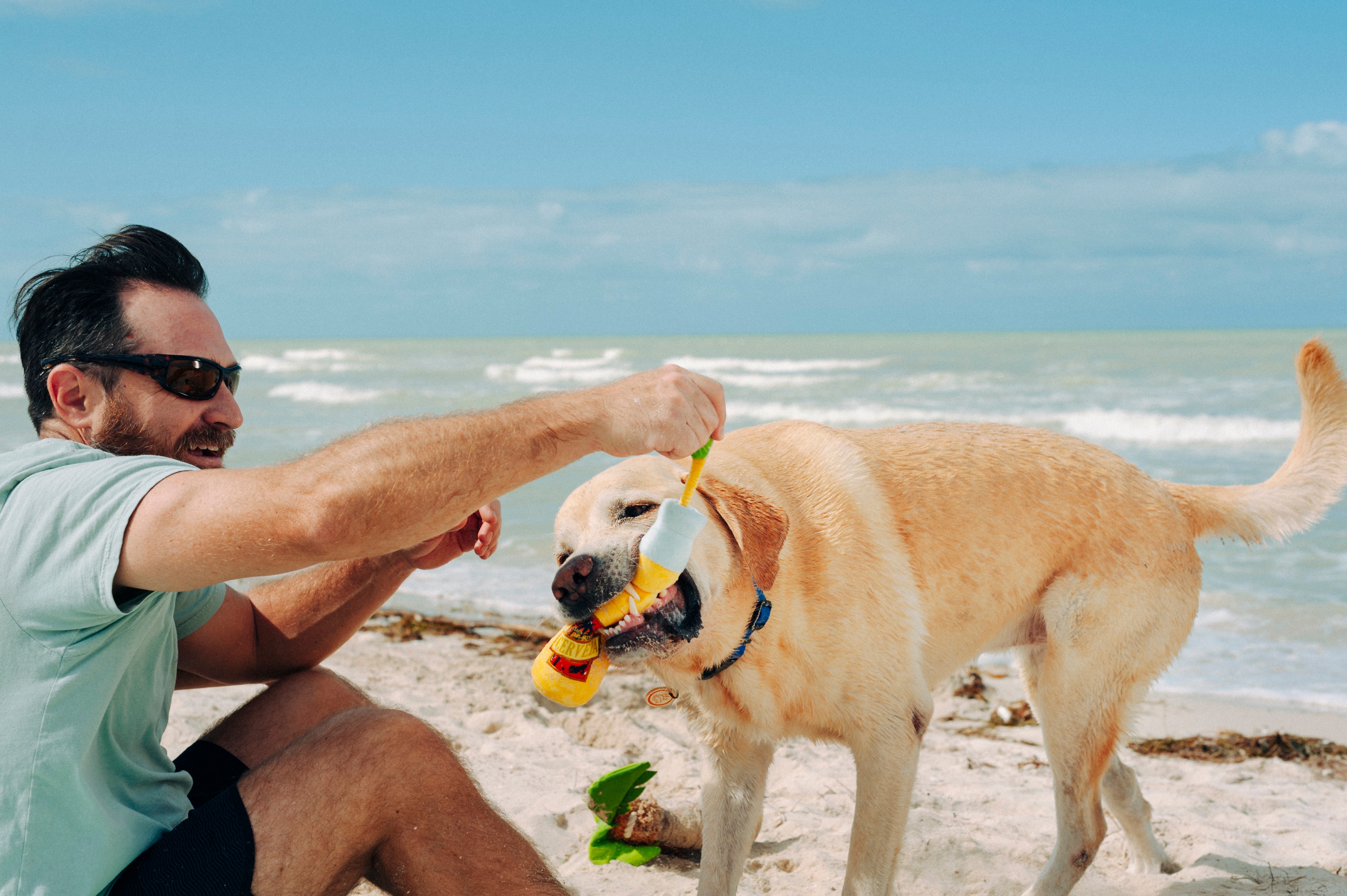 La Cerveza Tropical - Juguete de Peluche para Perros Tropical Paradise™ | Pet P.L.A.Y.