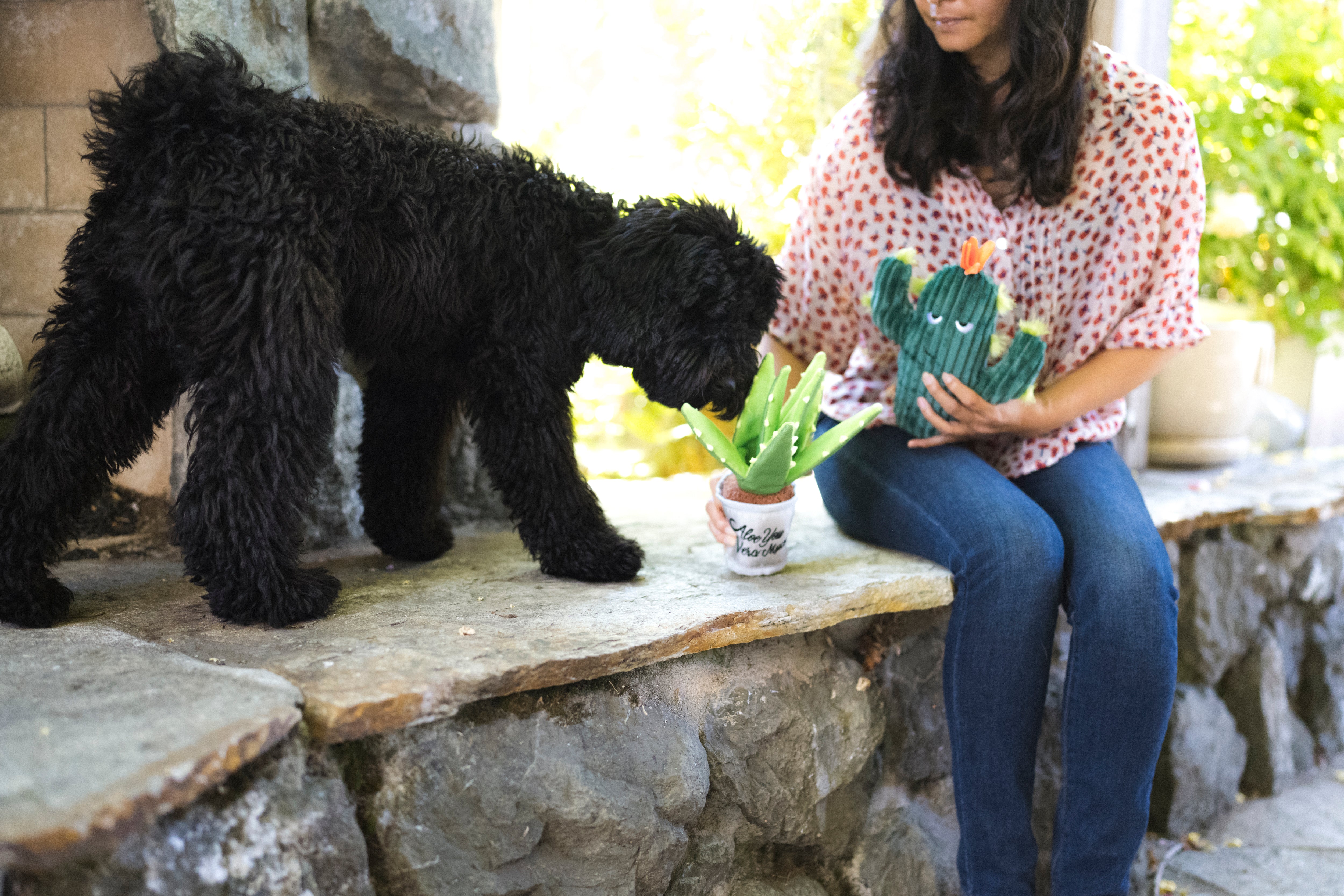 La Planta Aloe-ve You - Juguete de Peluche para Perros Blooming Buddies™ | Pet P.L.A.Y.