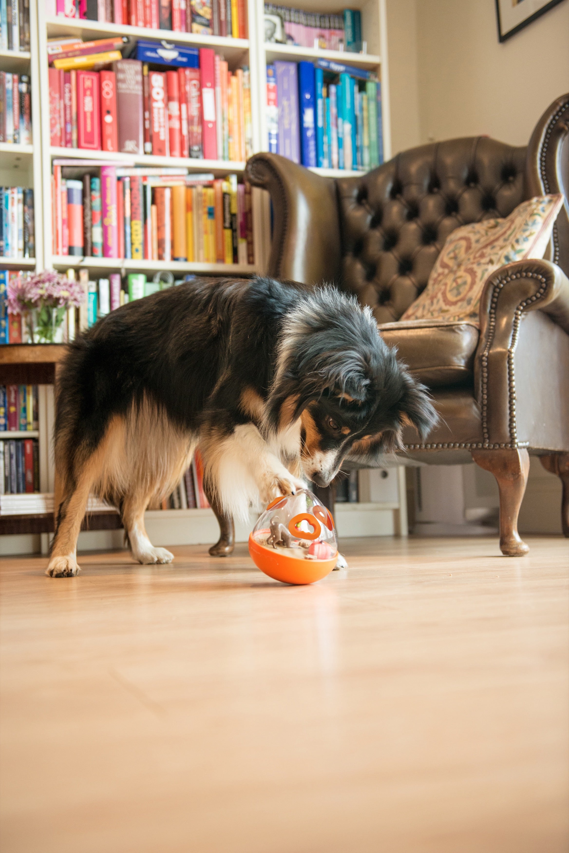 Wobble Ball Juguete Dispensador de Premios para Perros - Naranja | Pet P.L.A.Y.