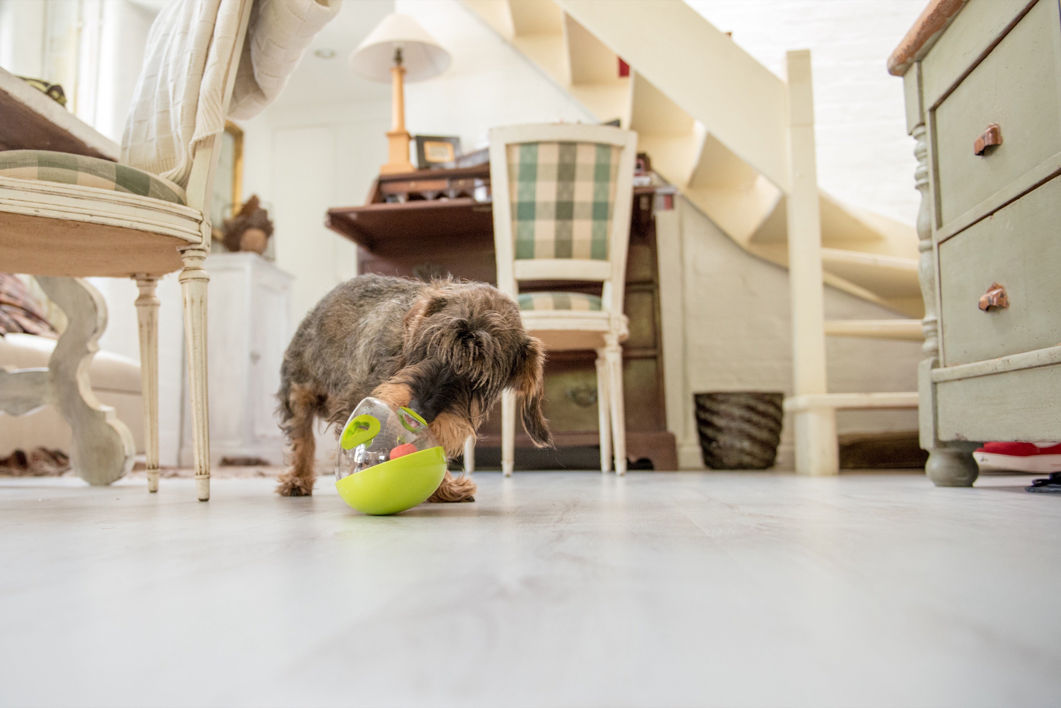 Wobble Ball Juguete Dispensador de Premios para Perros - Verde | Pet P.L.A.Y.