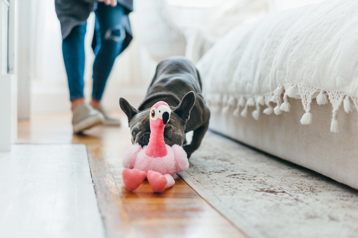 Flora el Flamingo - Juguete de Peluche para Perros Fetching Flock™ | Pet P.L.A.Y.