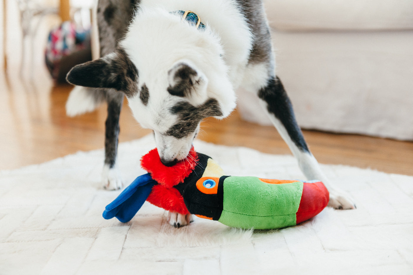 Tito el Tucán - Juguete de Peluche para Perros Fetching Flock™ | Pet P.L.A.Y.