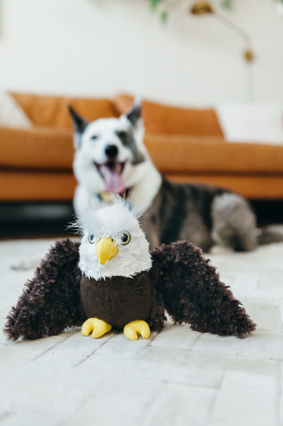 Edgar el Águila - Juguete de Peluche para Perros Fetching Flock™ | Pet P.L.A.Y.