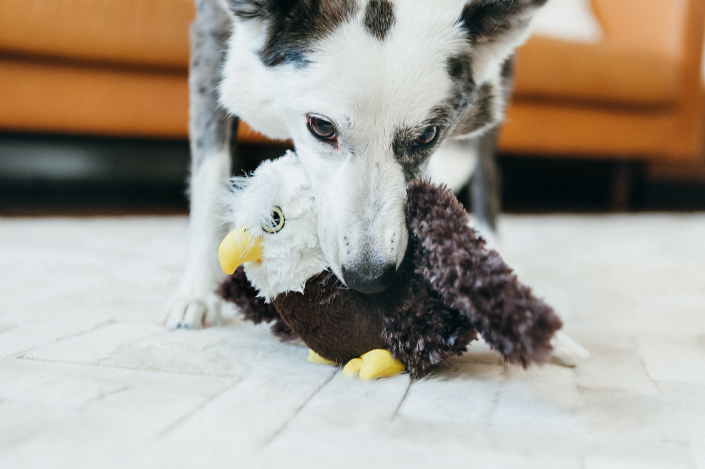 Edgar el Águila - Juguete de Peluche para Perros Fetching Flock™ | Pet P.L.A.Y.