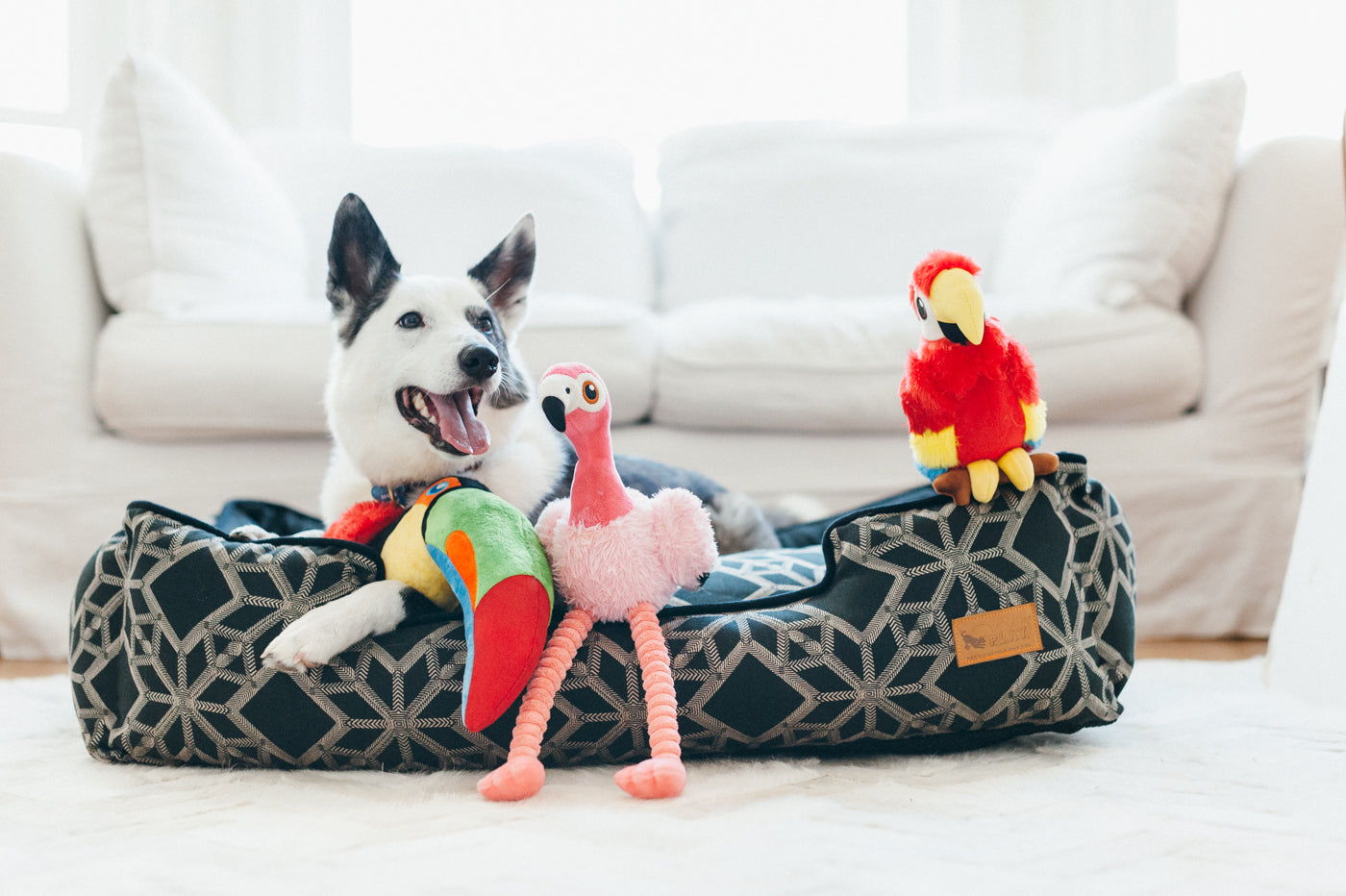 Tito el Tucán - Juguete de Peluche para Perros Fetching Flock™ | Pet P.L.A.Y.