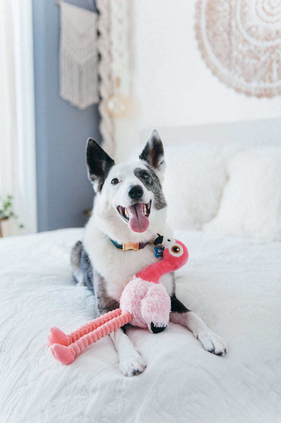 Flora el Flamingo - Juguete de Peluche para Perros Fetching Flock™ | Pet P.L.A.Y.