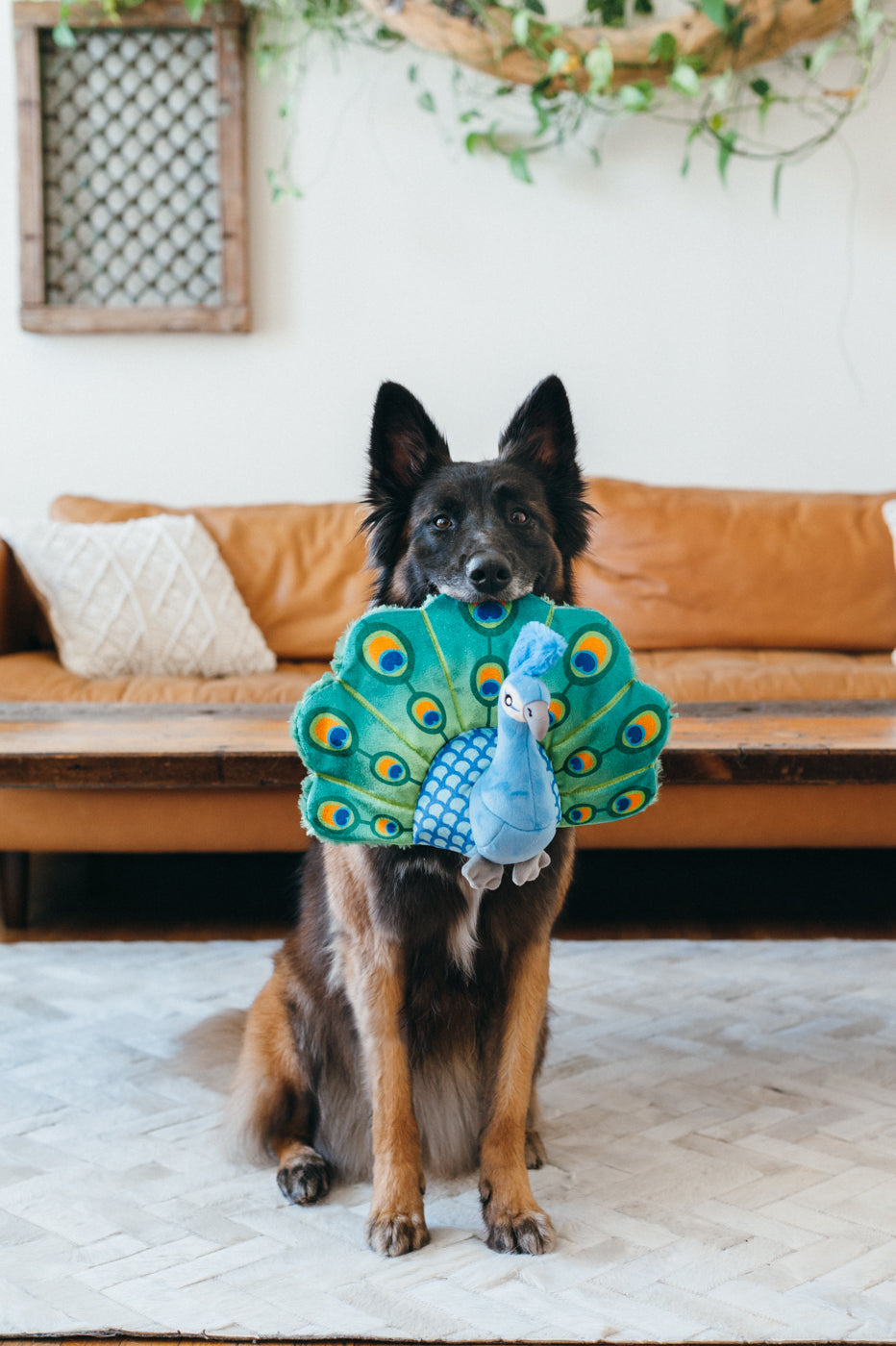 Percy el Pavo Real - Juguete de Peluche para Perros Fetching Flock™ | Pet P.L.A.Y.