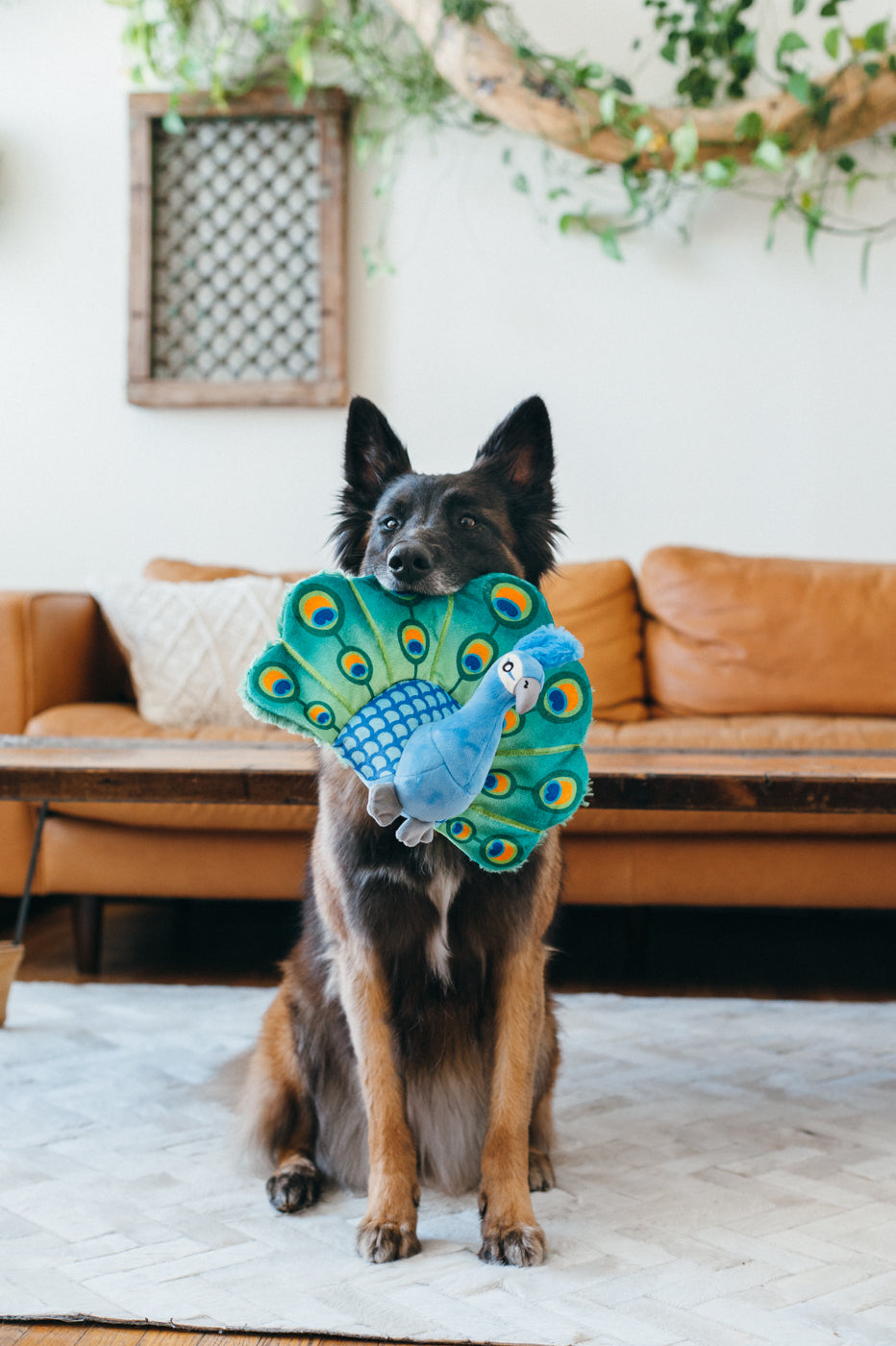 Percy el Pavo Real - Juguete de Peluche para Perros Fetching Flock™ | Pet P.L.A.Y.