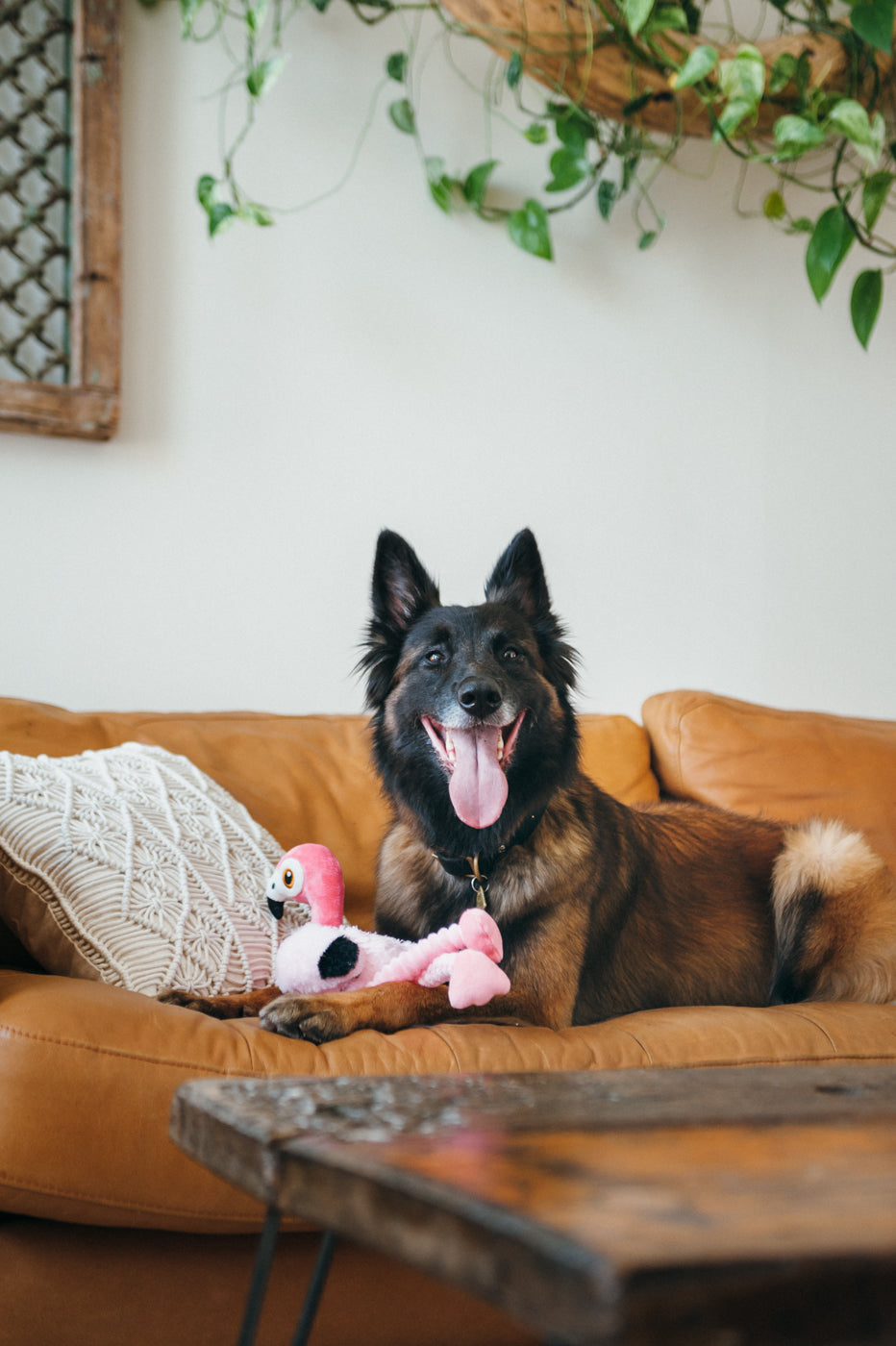 Flora el Flamingo - Juguete de Peluche para Perros Fetching Flock™ | Pet P.L.A.Y.