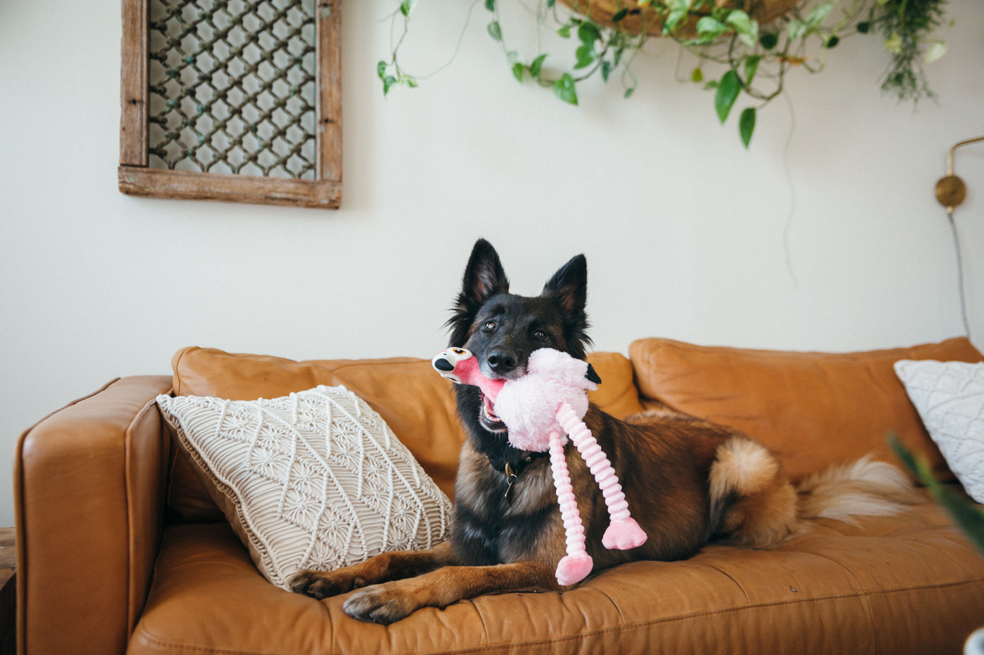 Flora el Flamingo - Juguete de Peluche para Perros Fetching Flock™ | Pet P.L.A.Y.