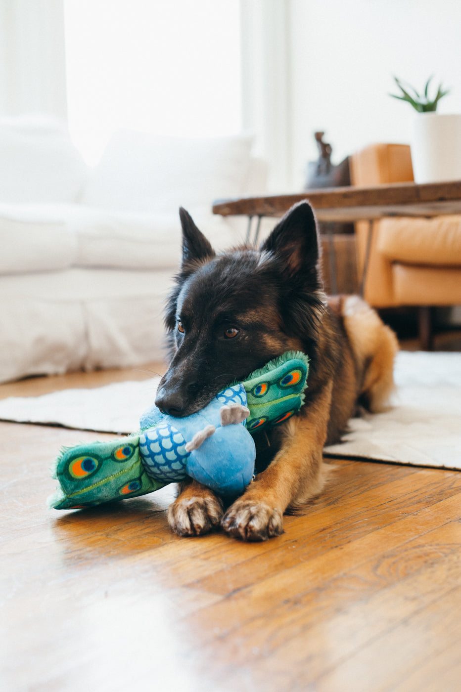 Percy el Pavo Real - Juguete de Peluche para Perros Fetching Flock™ | Pet P.L.A.Y.