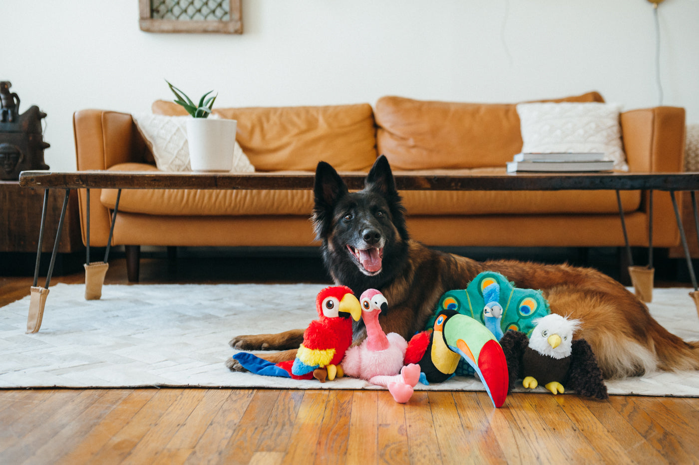 Edgar el Águila - Juguete de Peluche para Perros Fetching Flock™ | Pet P.L.A.Y.