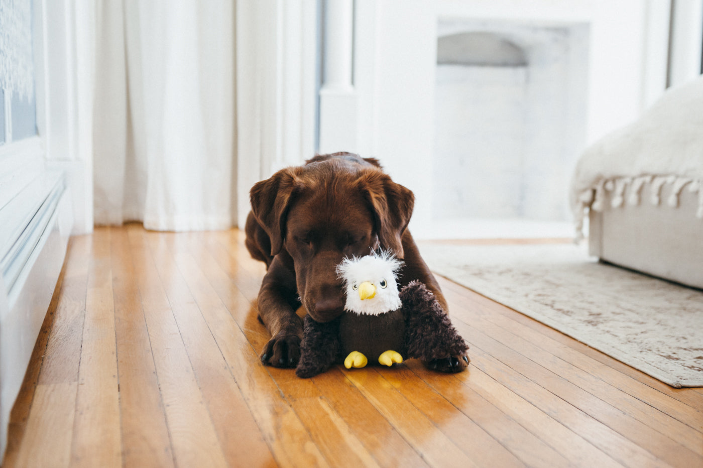 Edgar el Águila - Juguete de Peluche para Perros Fetching Flock™ | Pet P.L.A.Y.