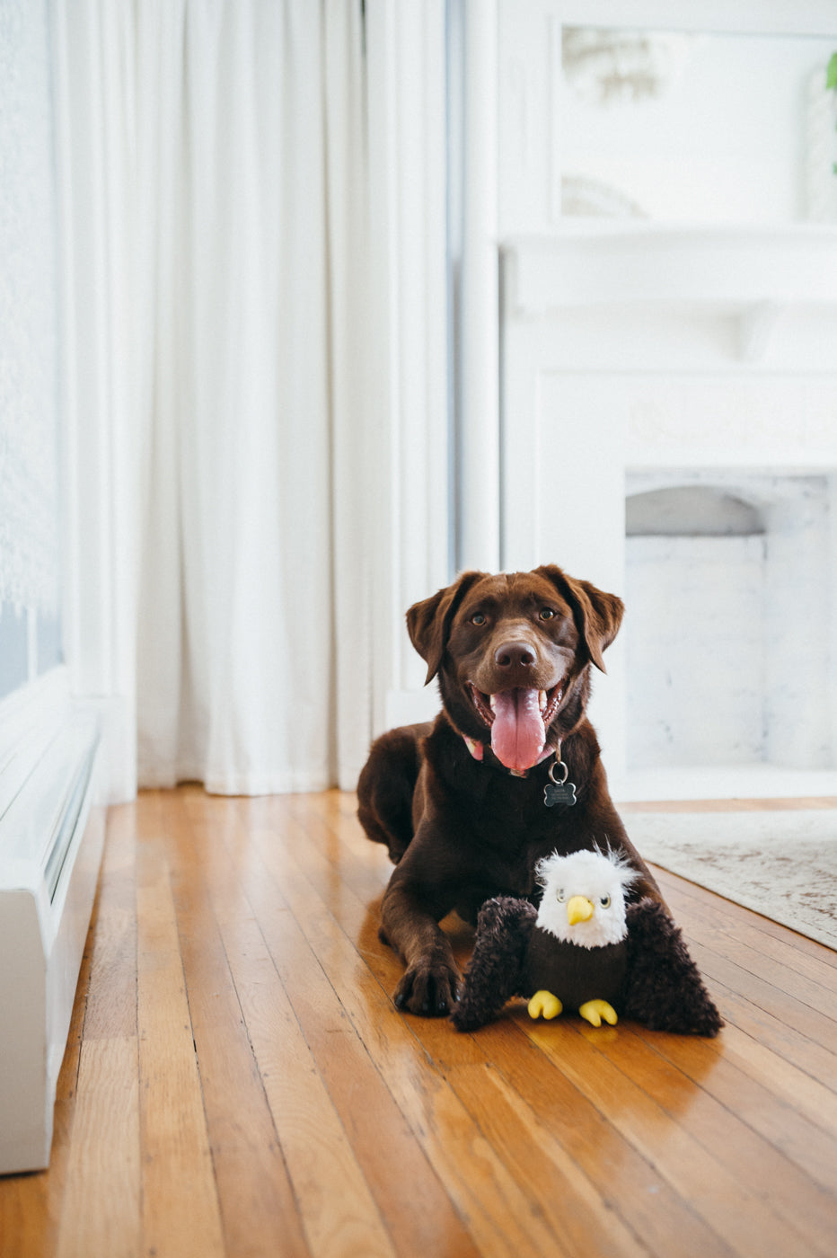 Edgar el Águila - Juguete de Peluche para Perros Fetching Flock™ | Pet P.L.A.Y.