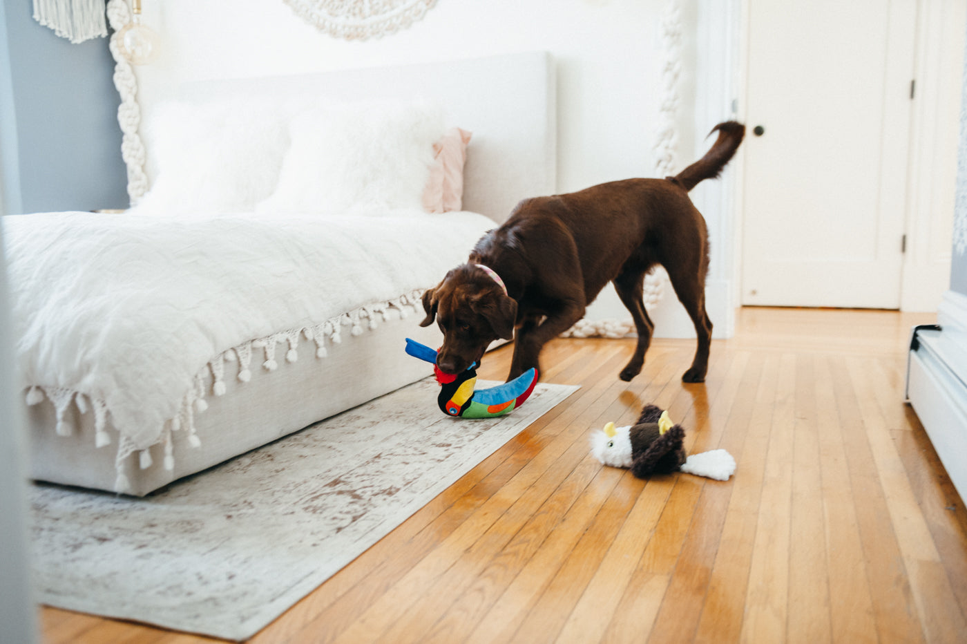 Edgar el Águila - Juguete de Peluche para Perros Fetching Flock™ | Pet P.L.A.Y.