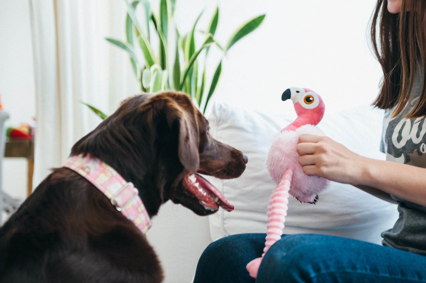 Flora el Flamingo - Juguete de Peluche para Perros Fetching Flock™ | Pet P.L.A.Y.