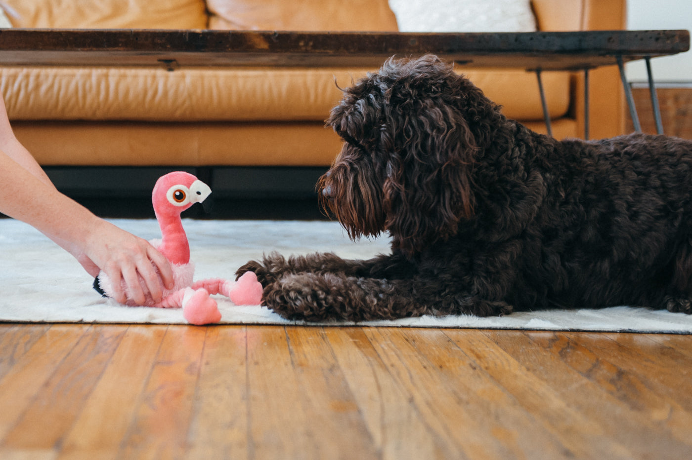 Flora el Flamingo - Juguete de Peluche para Perros Fetching Flock™ | Pet P.L.A.Y.