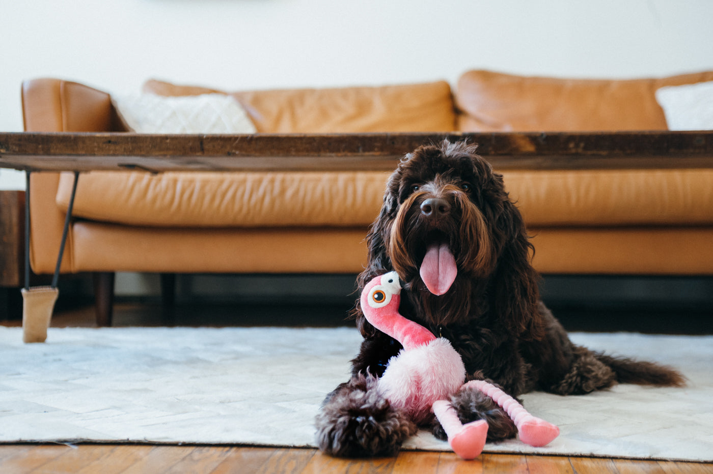 Flora el Flamingo - Juguete de Peluche para Perros Fetching Flock™ | Pet P.L.A.Y.