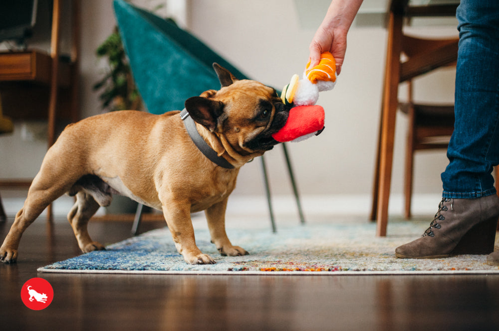 El Sushi - Juguete de Peluche para Perros International Classic™ | Pet P.L.A.Y.