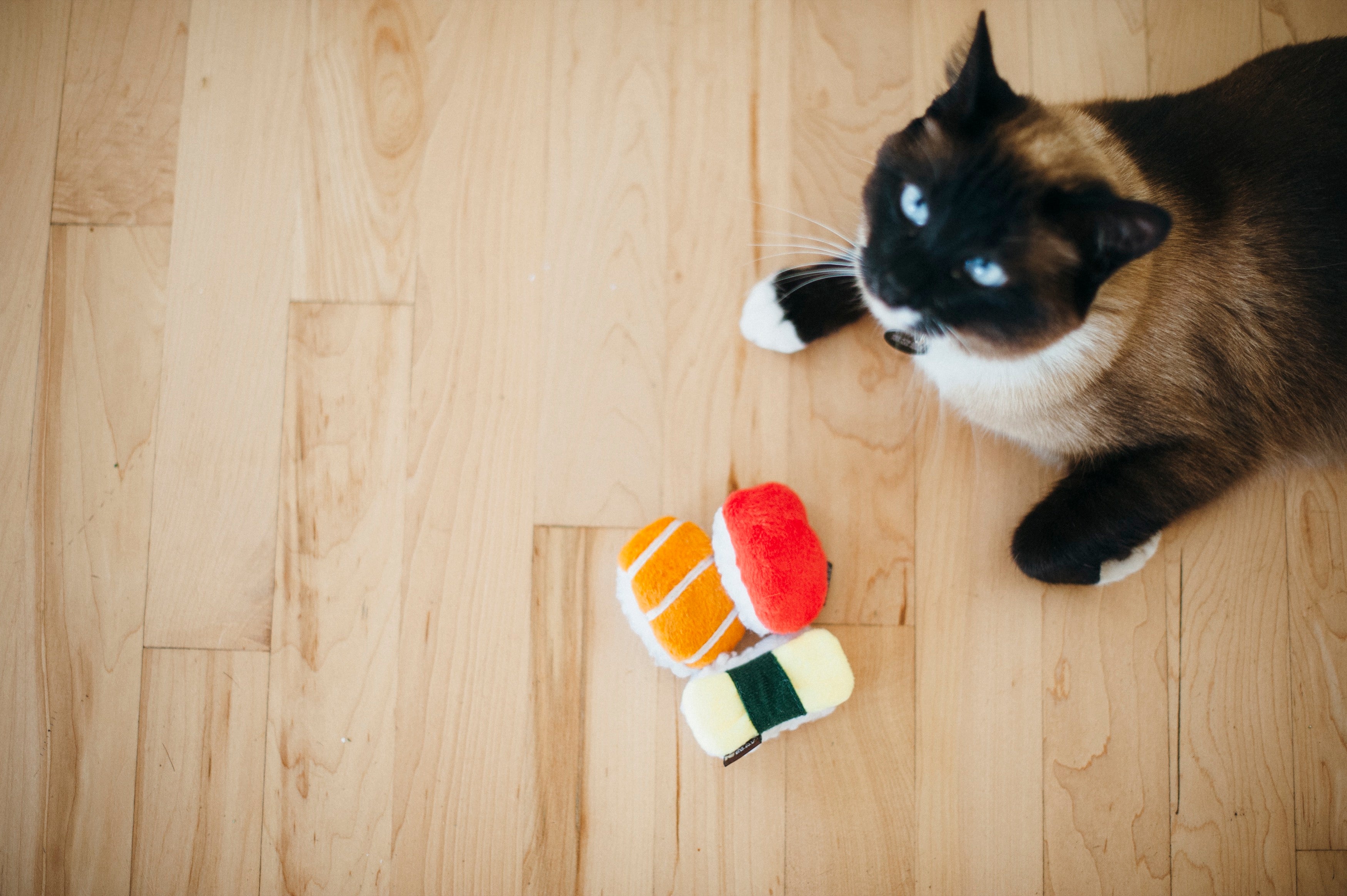 Feline Frenzy Juguete con Catnip para Gatos - Sassy Sushi (3 Piezas) | Pet P.L.A.Y.