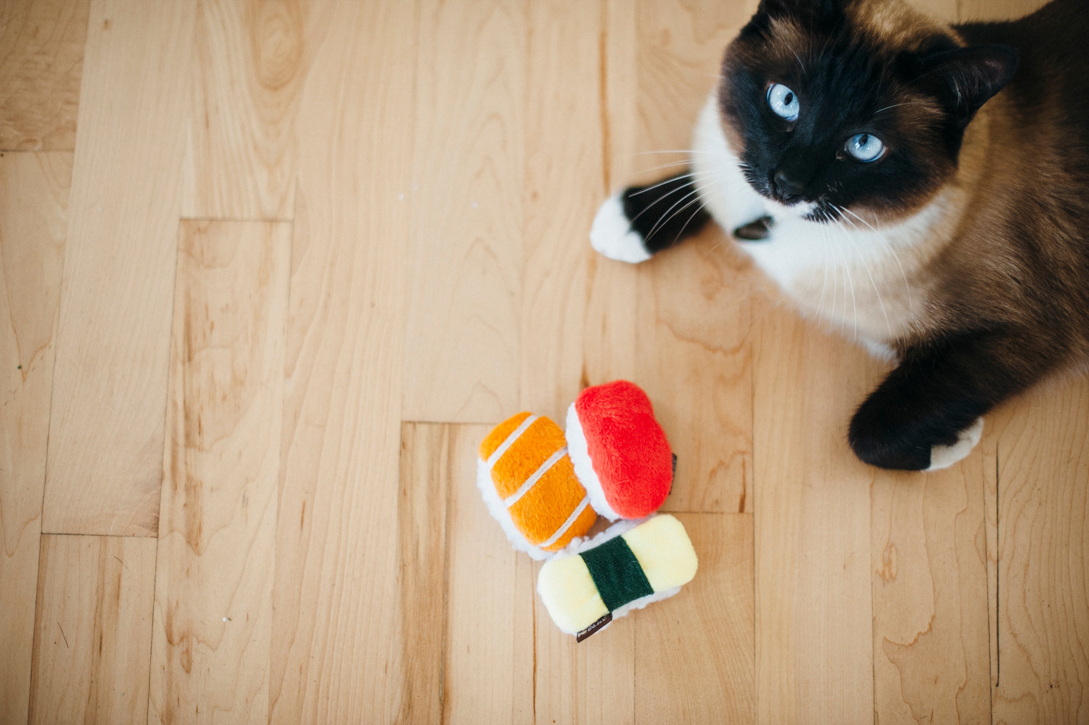 Feline Frenzy Juguete con Catnip para Gatos - Sassy Sushi (3 Piezas) | Pet P.L.A.Y.