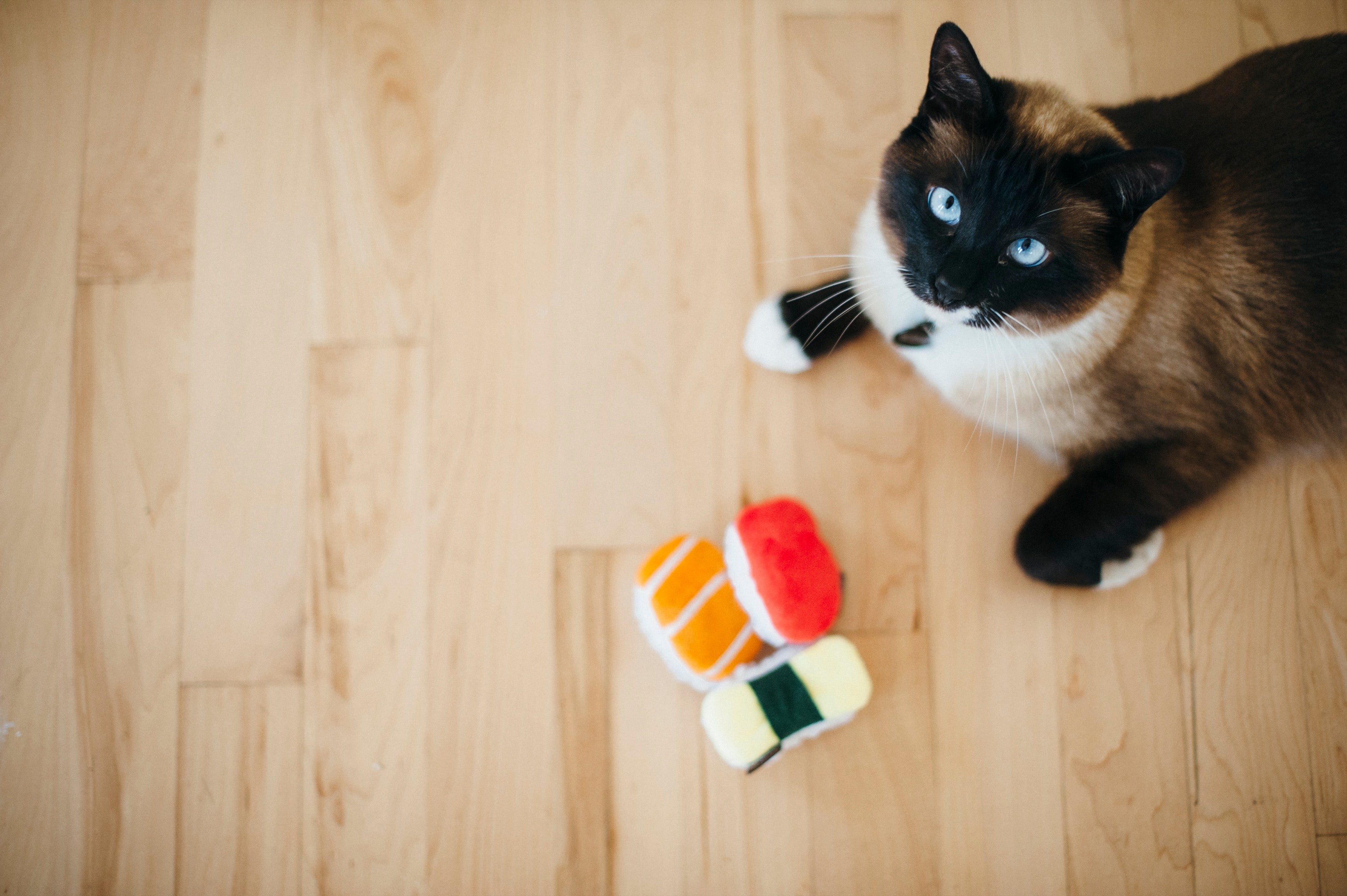 Feline Frenzy Juguete con Catnip para Gatos - Sassy Sushi (3 Piezas) | Pet P.L.A.Y.