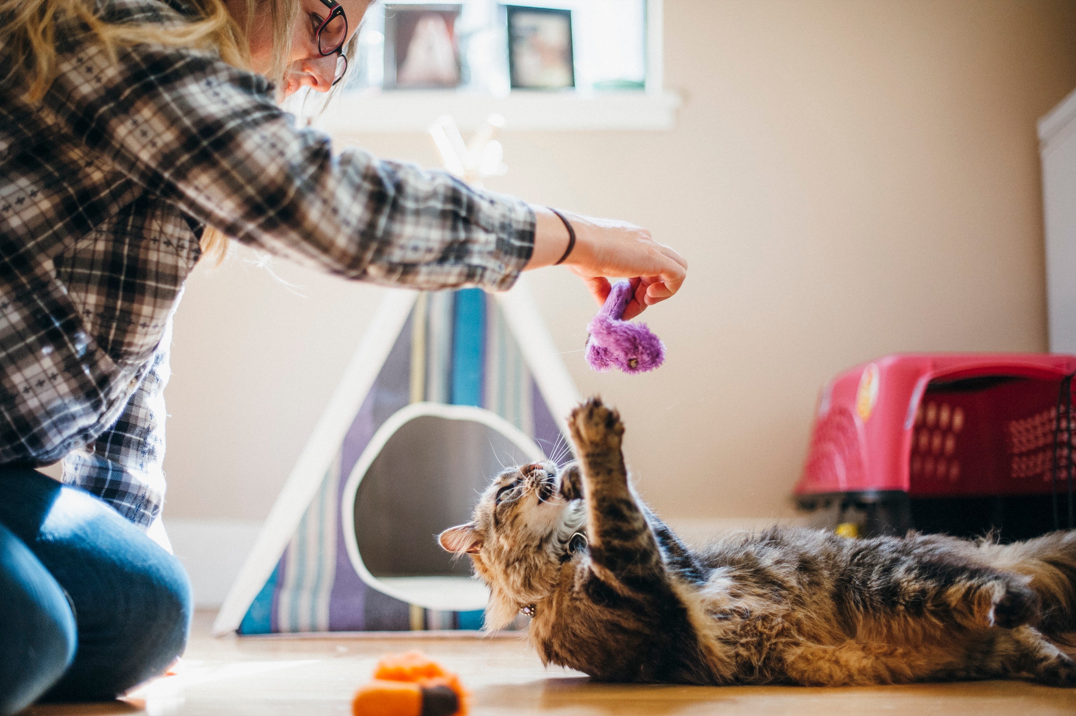 Feline Frenzy Juguete con Catnip para Gatos - Wiggly Wormies (2 Piezas) | Pet P.L.A.Y.