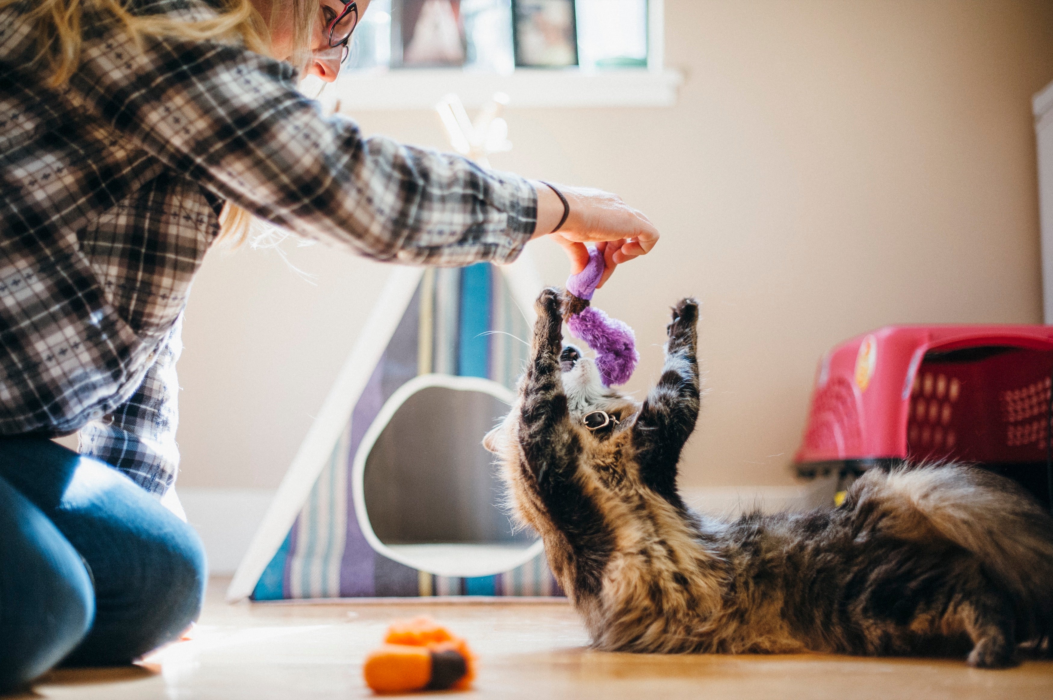 Feline Frenzy Juguete con Catnip para Gatos - Wiggly Wormies (2 Piezas) | Pet P.L.A.Y.