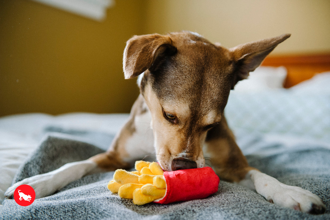 Las Papas Fritas - Juguete de Peluche para Perros American Classic® | Pet P.L.A.Y.