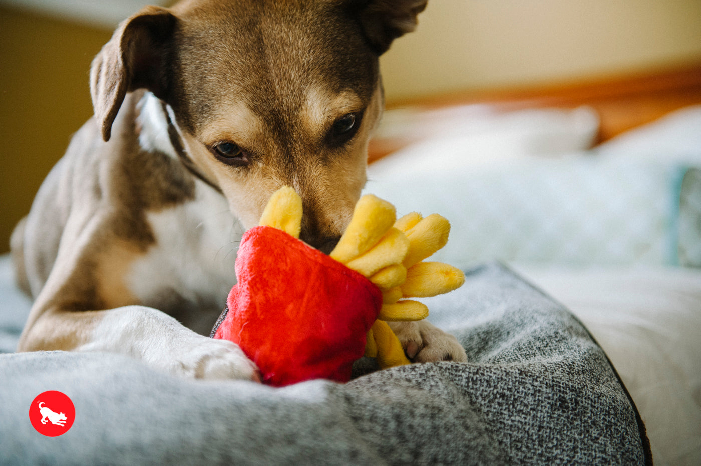 Las Papas Fritas - Juguete de Peluche para Perros American Classic® | Pet P.L.A.Y.