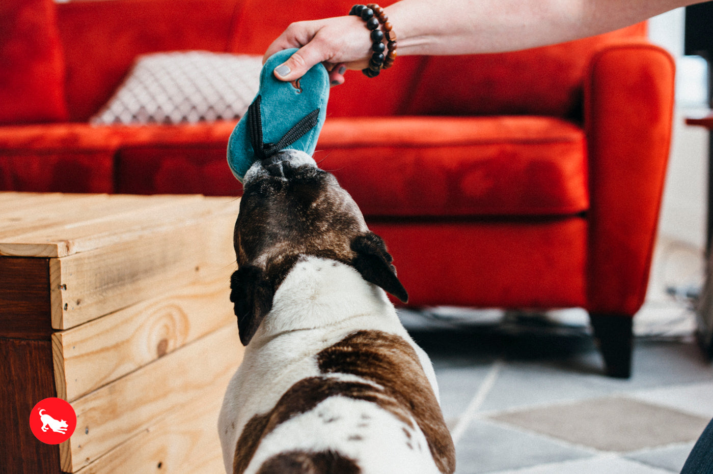 La Pantufla - Juguete de Peluche para Perros Globetrotter | Pet P.L.A.Y.