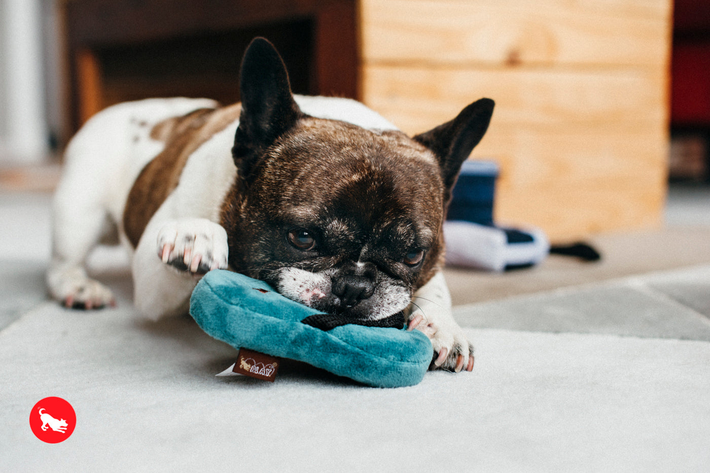 La Pantufla - Juguete de Peluche para Perros Globetrotter | Pet P.L.A.Y.