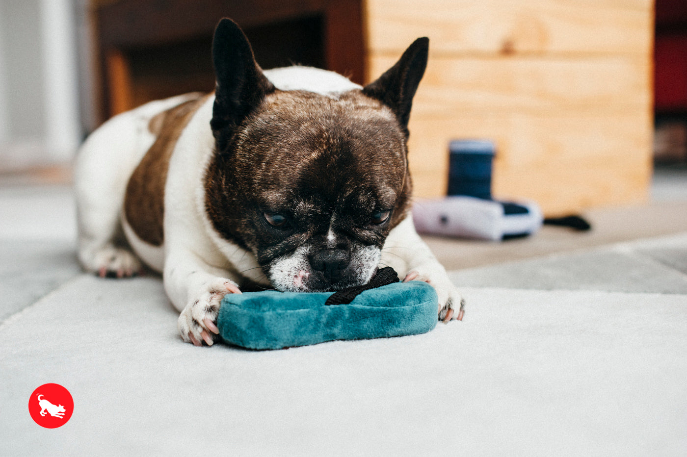 La Pantufla - Juguete de Peluche para Perros Globetrotter | Pet P.L.A.Y.