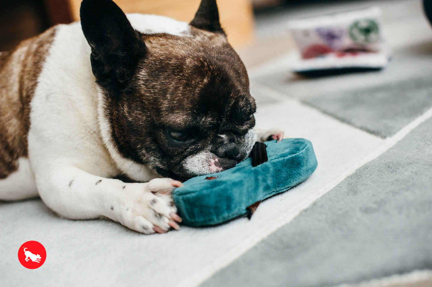 La Pantufla - Juguete de Peluche para Perros Globetrotter | Pet P.L.A.Y.