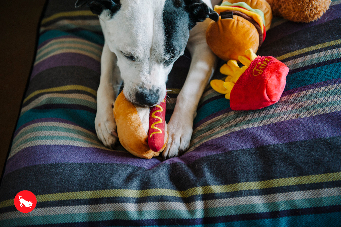 El Hot Dog - Juguete de Peluche para Perros American Classic® | Pet P.L.A.Y.