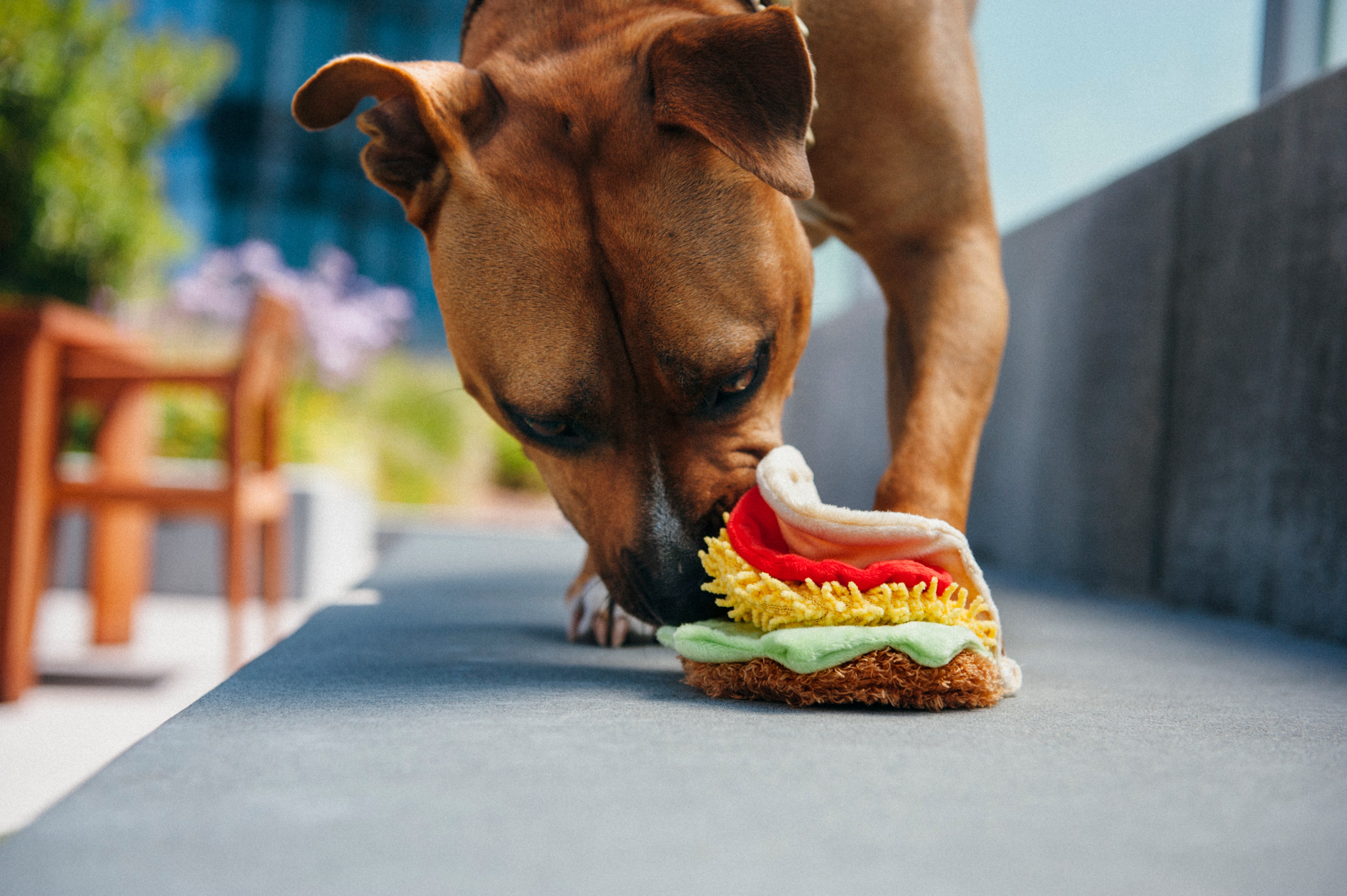 El Taco - Juguete de Peluche para Perros International Classic™ | Pet P.L.A.Y.