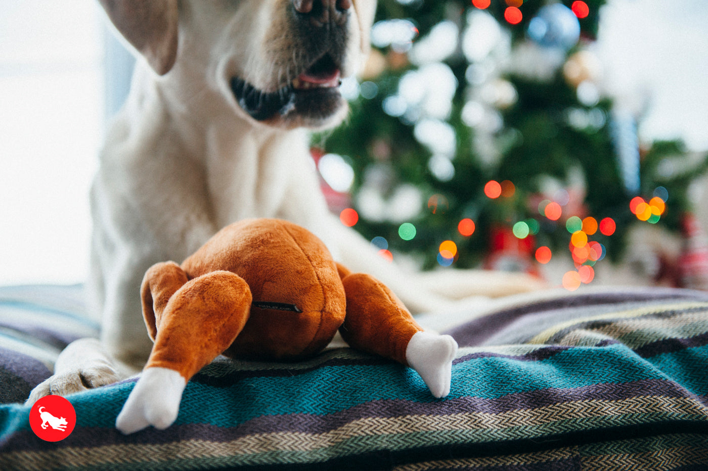 El Pavo Entero - Juguete de Peluche para Perros Holiday Classic™ | Pet P.L.A.Y.