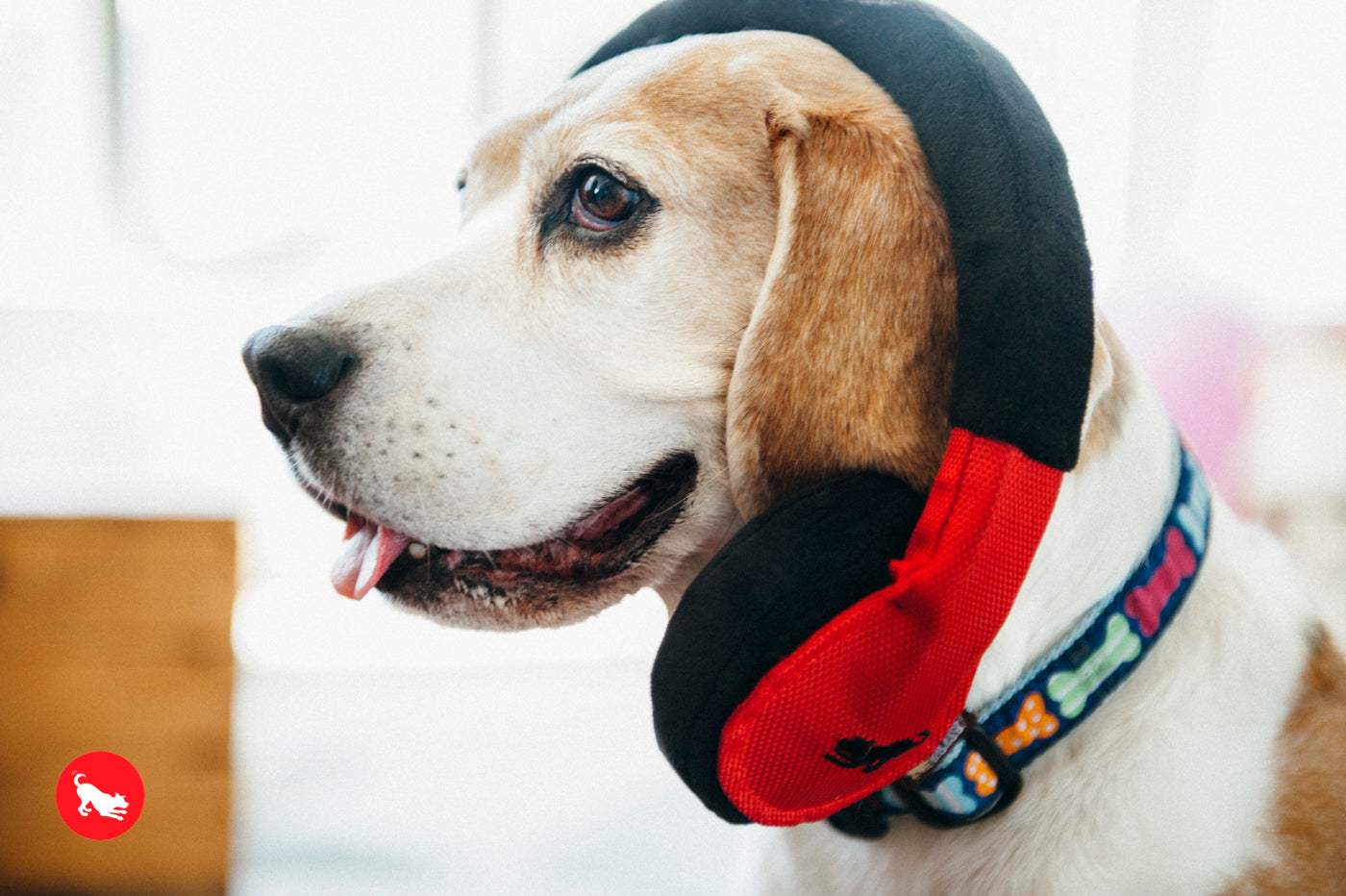 Los Auriculares - Juguete de Peluche para Perros Globetrotter | Pet P.L.A.Y.