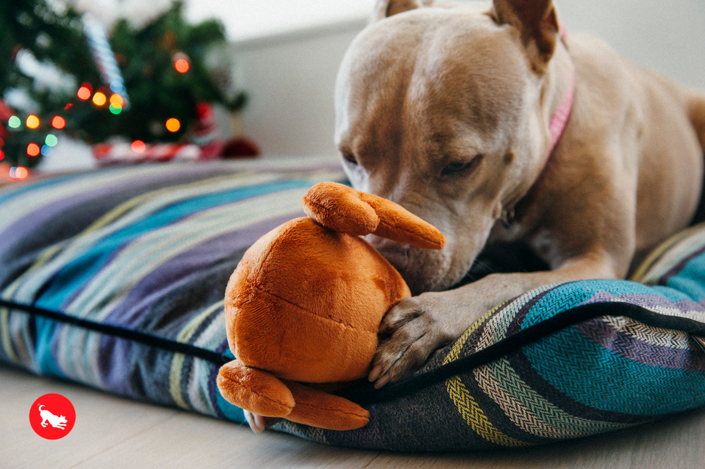 El Pavo Entero - Juguete de Peluche para Perros Holiday Classic™ | Pet P.L.A.Y.