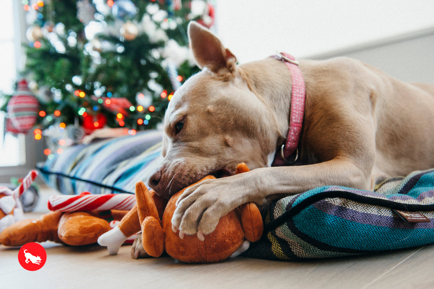 El Pavo Entero - Juguete de Peluche para Perros Holiday Classic™ | Pet P.L.A.Y.