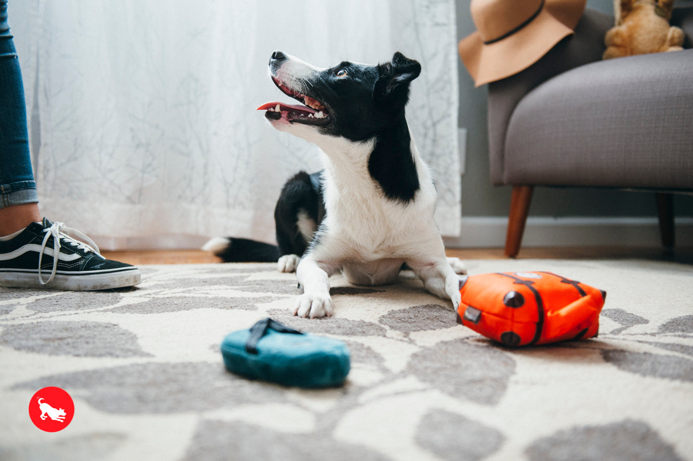 La Pantufla - Juguete de Peluche para Perros Globetrotter | Pet P.L.A.Y.