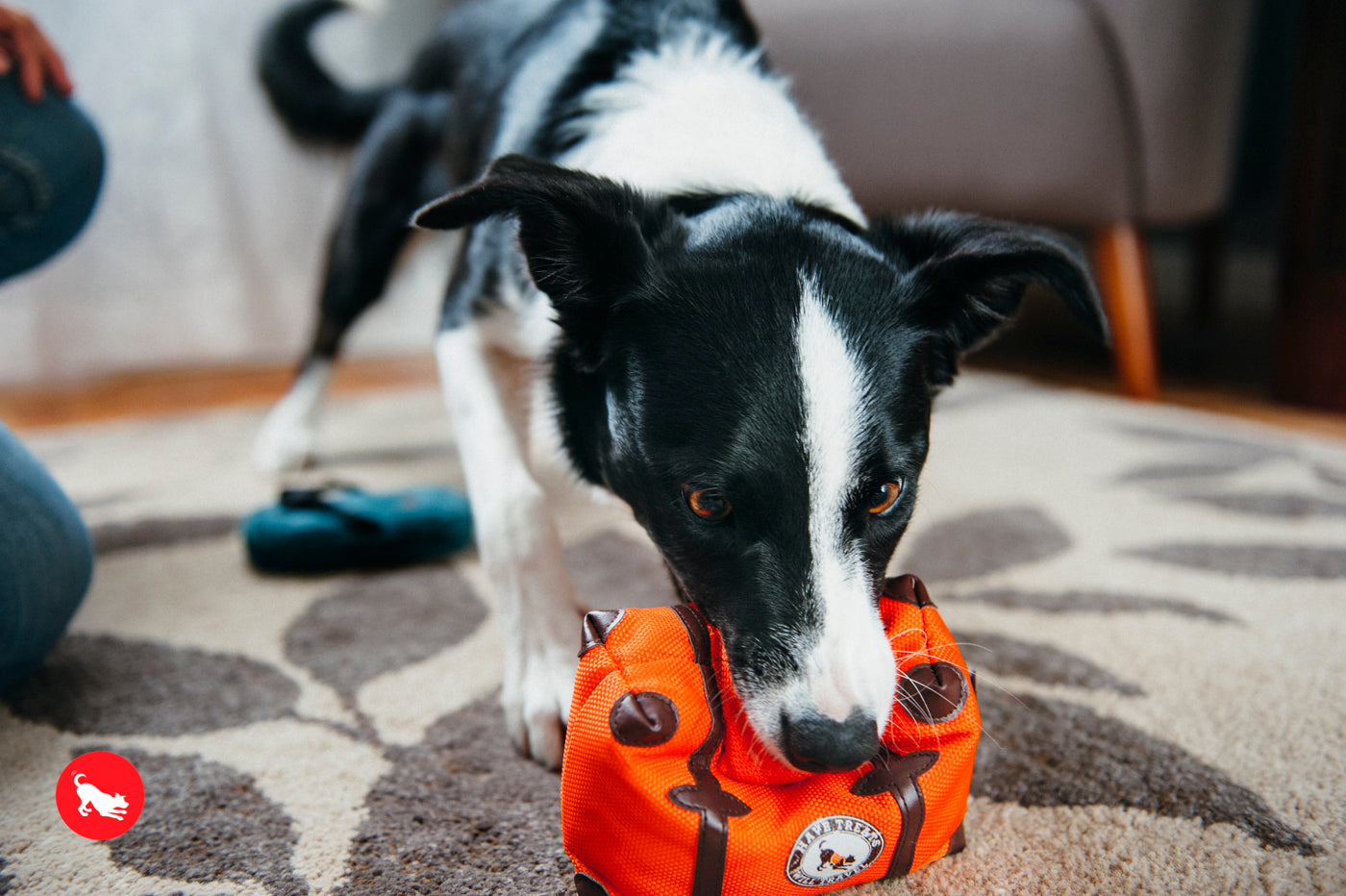 La Maleta - Juguete de Peluche para Perros Globetrotter | Pet P.L.A.Y.