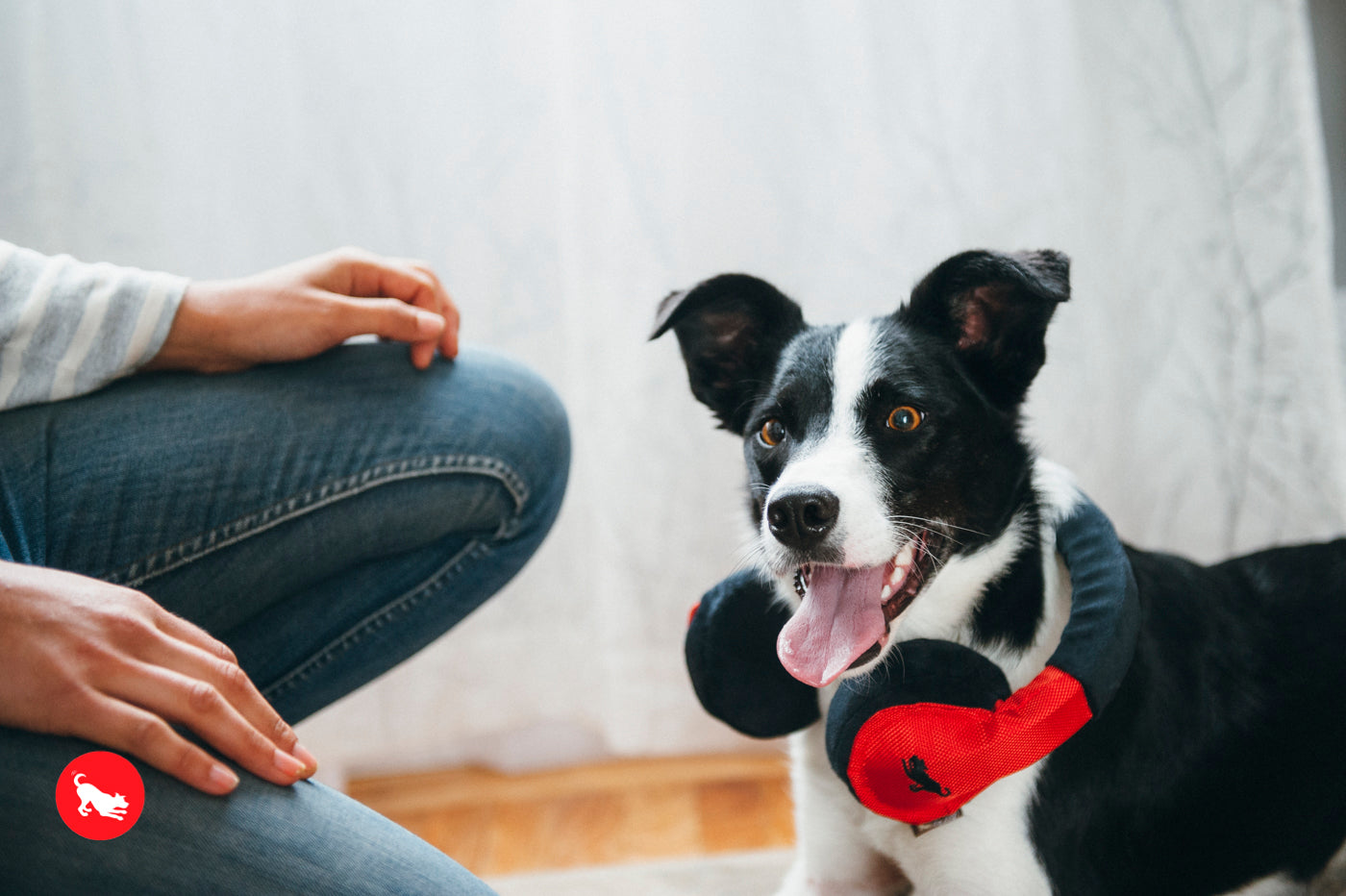 Los Auriculares - Juguete de Peluche para Perros Globetrotter | Pet P.L.A.Y.