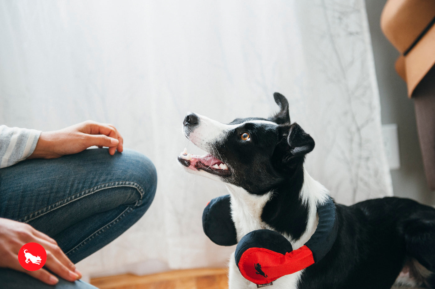 Los Auriculares - Juguete de Peluche para Perros Globetrotter | Pet P.L.A.Y.