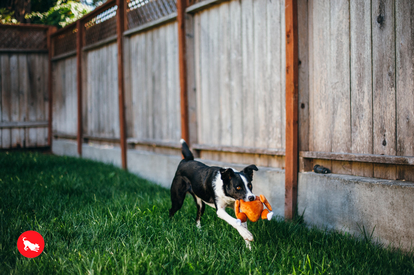 El Pavo Entero - Juguete de Peluche para Perros Holiday Classic™ | Pet P.L.A.Y.