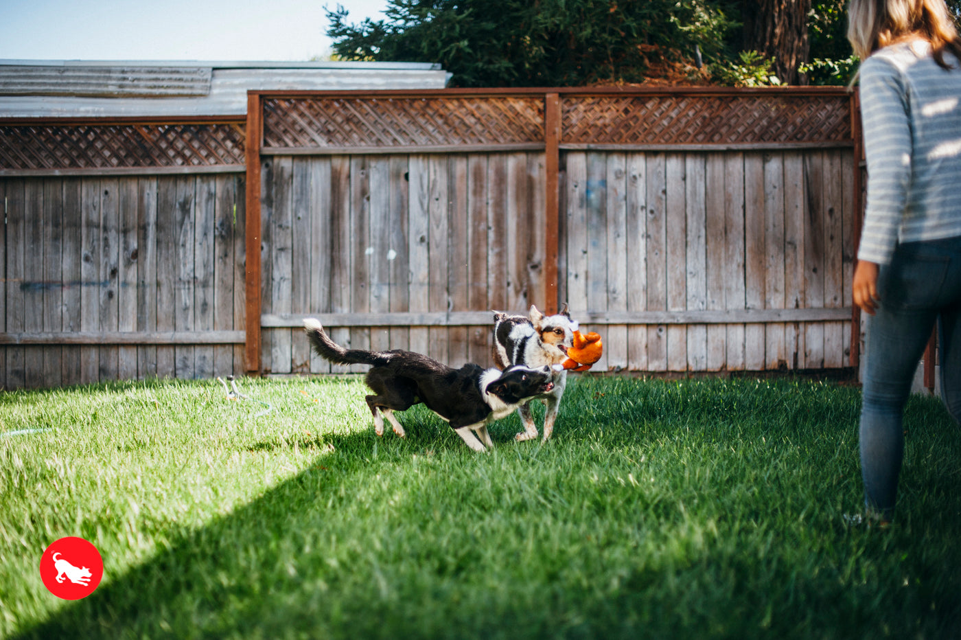 El Pavo Entero - Juguete de Peluche para Perros Holiday Classic™ | Pet P.L.A.Y.