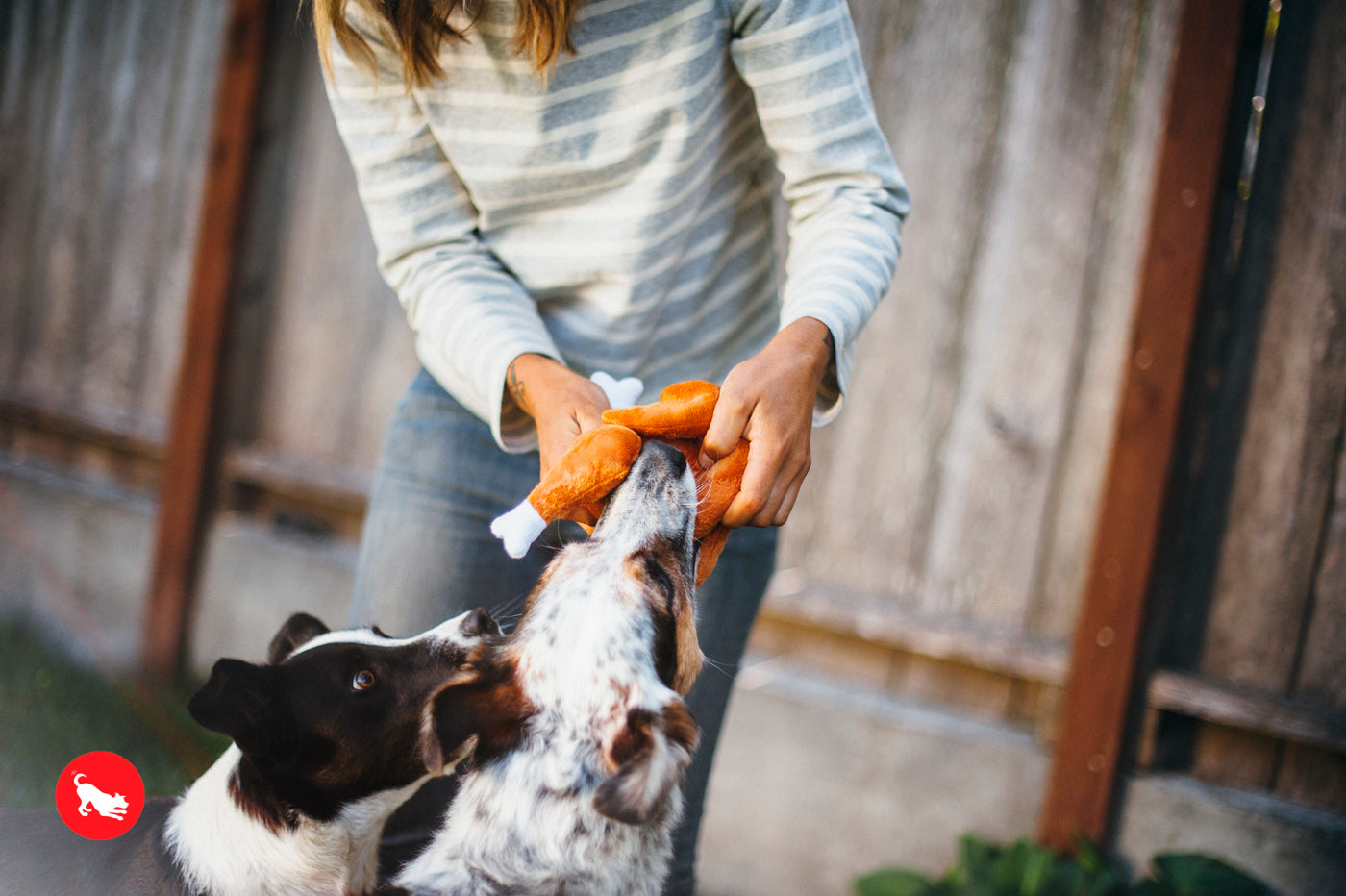 El Pavo Entero - Juguete de Peluche para Perros Holiday Classic™ | Pet P.L.A.Y.