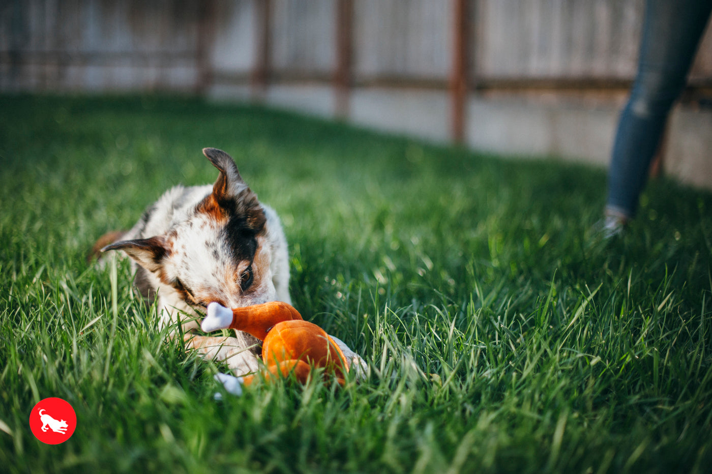 El Pavo Entero - Juguete de Peluche para Perros Holiday Classic™ | Pet P.L.A.Y.