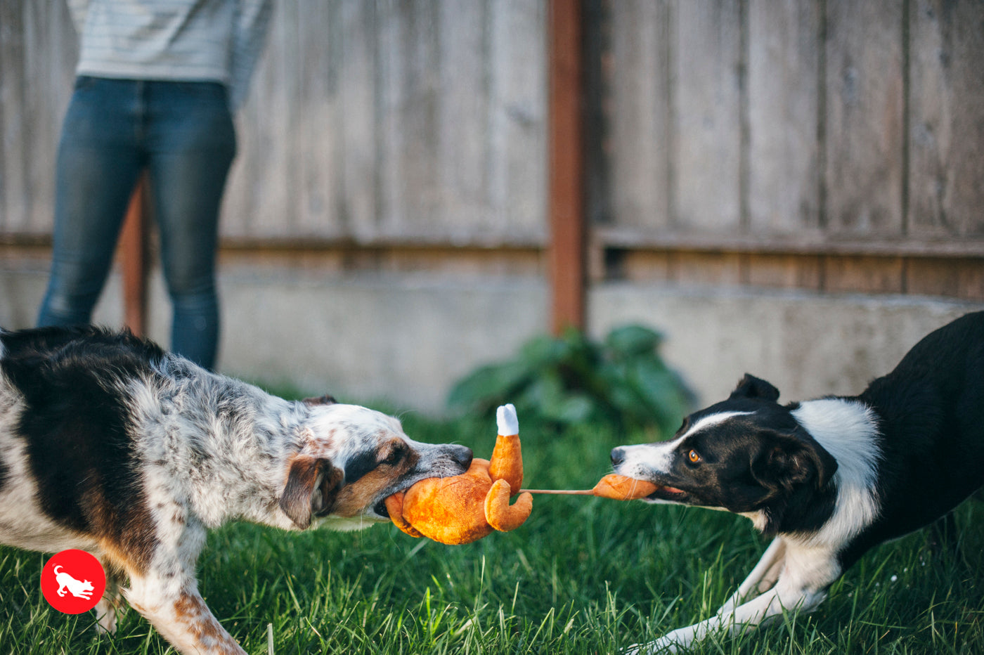 El Pavo Entero - Juguete de Peluche para Perros Holiday Classic™ | Pet P.L.A.Y.